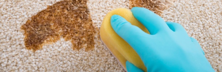7 razones para limpiar